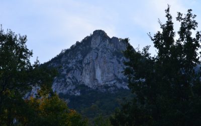 Réunion du 24 mars 2022