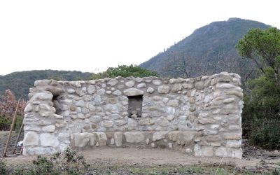 L&rsquo;arbre et l&rsquo;aire de Saint-Antoine