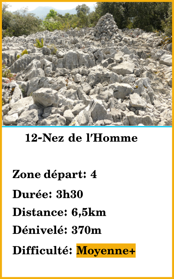 12-nez de lhomme 12-nez de lhomme